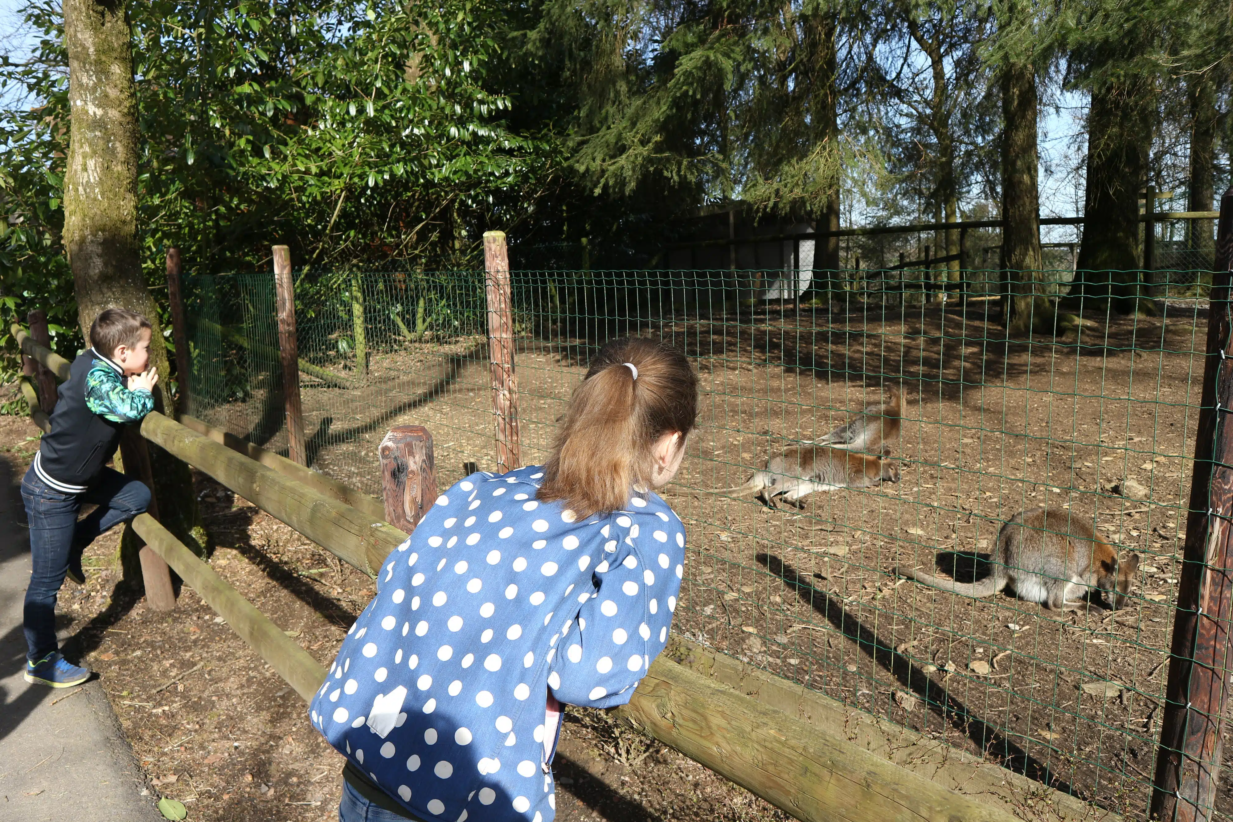 Découvrez les Parcs animaliers et les sorties enfants au zoo à Nice et ses environs