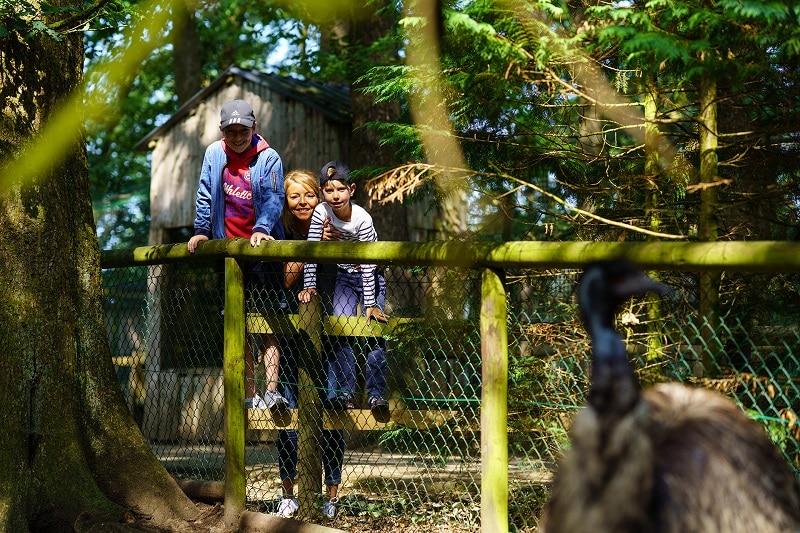 Découvrez les Parcs animaliers et les sorties enfants au zoo à Nice et ses environs
