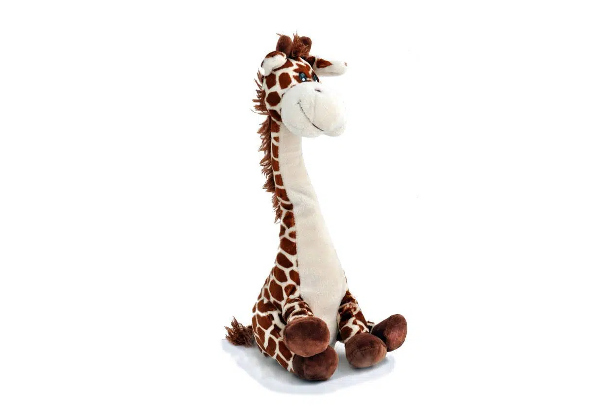 Girafe peluche